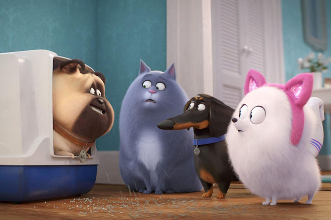 "Pets 2" erzählt die tierischen Abenteuer von Mel, Chloe, Buddy, Gidget und Co.