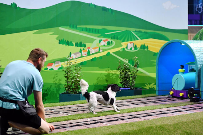 Stefan Kuciara mit Marley ist heute (05.09.2025) beim Finale "Top Dog Germany - Der beste Hund Deutschlands" dabei.