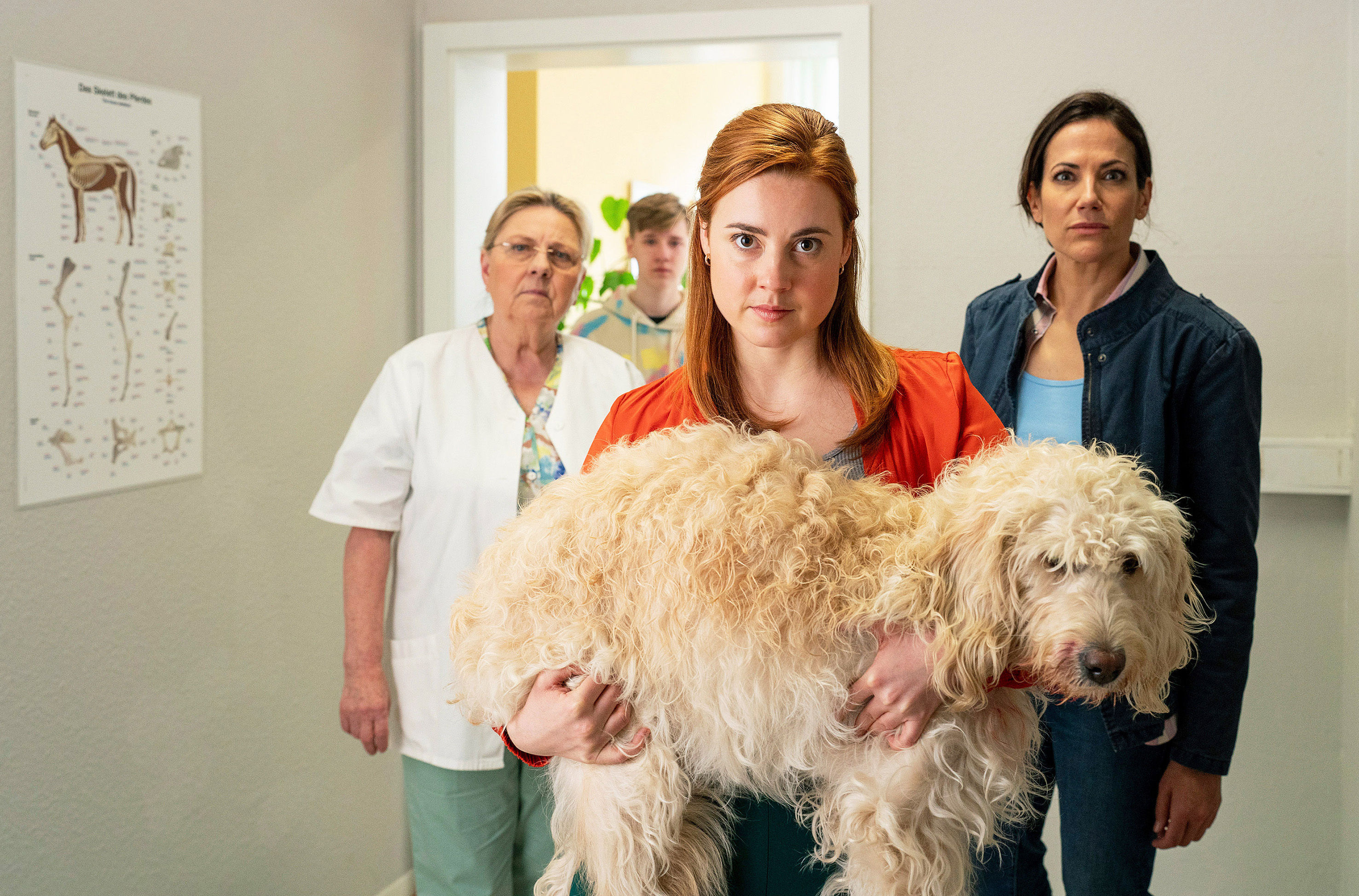 Uta Helmreich (Ramona Kunze-Libnow,l.), Robin Barnstedt (Finnlay Berger), Julia Kramer (Meriel Hinsching) und Maja Freydank (Bettina Zimmermann, r.) bringen Hund Tessa zur Not-OP.