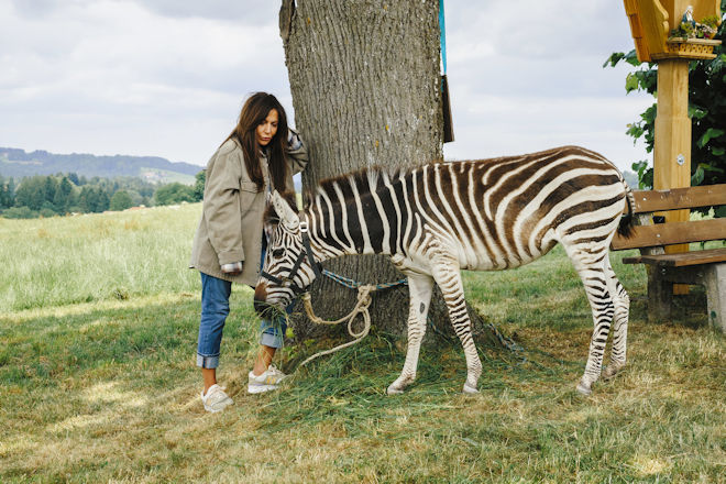Herzkino "Ein Zebra im Gep&auml;ck" aus der Reihe "Fr&uuml;hling": Katja Baumann (Simone Thomalla) traut ihren Augen nicht, denn in Fr&uuml;hling wurde ein Zebra ausgesetzt.