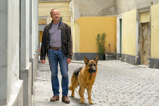 Kommissar Max Steiner (Maximilian Br&uuml;ckner) ermittelt ab heute (13.04.2026) zusammen mit Sch&auml;ferhund "Kommissar Rex" in Wien.