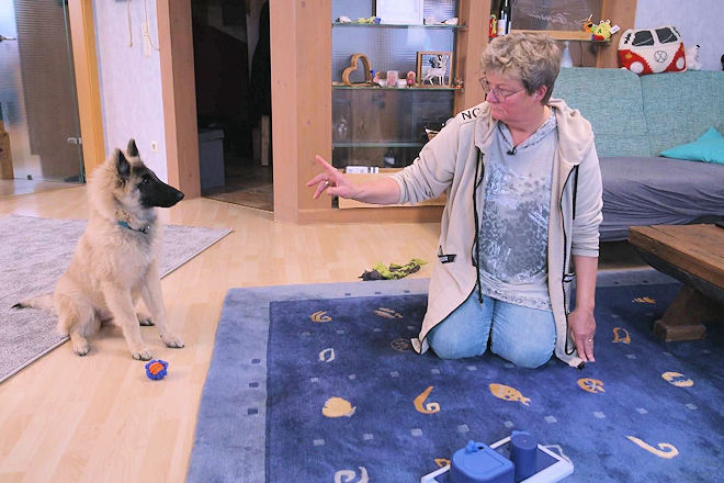 Familie Zeller aus Oberelchingen erlebt mit der Sch&auml;ferh&uuml;ndin Elea Herausforderungen im Umgang mit ihren Kindern. Kann Martin R&uuml;tter helfen?