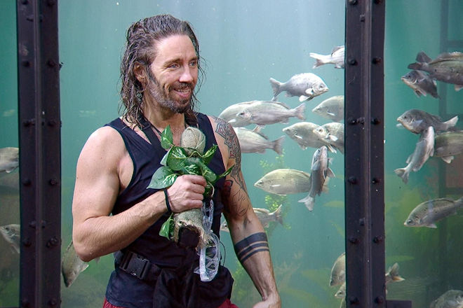 RTL Dschungelcamp 2026: Gil Ofarim hat in der Dschungelprüfung "Dschungel-Argh!Quarium" acht von zehn Sternen aus den Schatztruhen geborgen.