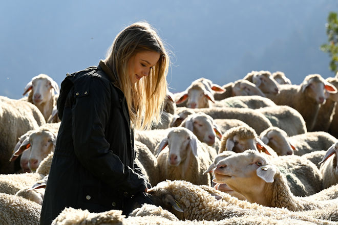 Da Katja Baumann ausfällt, muss sich Lilly Engel (Julia Beautx) um eine Schafherde kümmern.