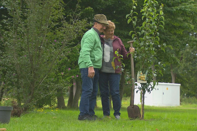 Heute (15.12.2025) bei "Bauer sucht Frau": Hühnerwirt Walter (74) und seine Katharina (70) pflanzen einen Baum.