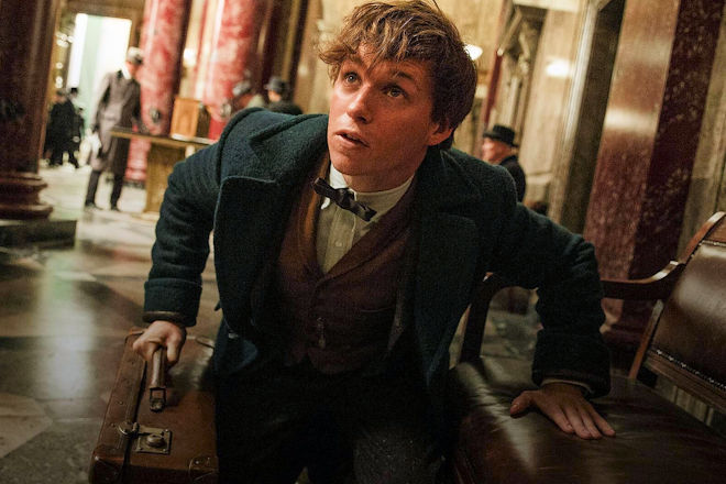 Newt (Eddie Redmayne) in "Phantastische Tierwesen und wo sie zu finden sind".